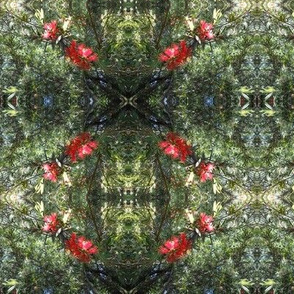 Wildflower Wreaths of Red and Green (Ref. 4808)