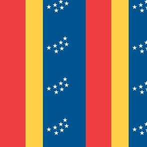 Durham flag - 10.5 x 5