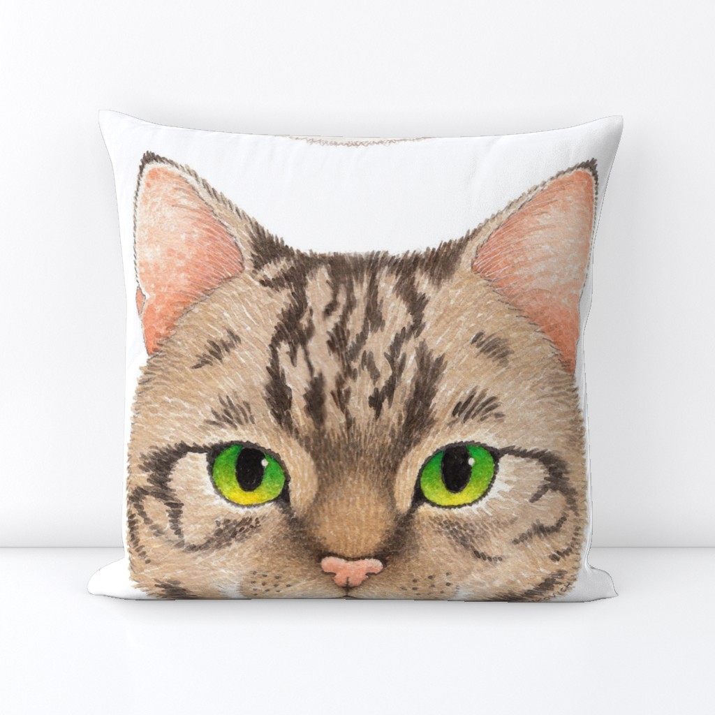 Cat and sew pillow