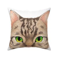 Cat and sew pillow