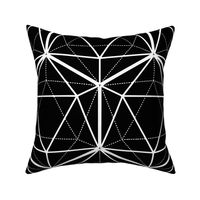 Icosahedron White on Black