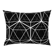 Icosahedron White on Black