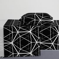 Icosahedron White on Black