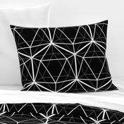 Icosahedron White on Black