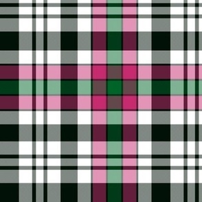 Borthwick dress tartan, 6"