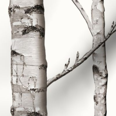 Birch Grove in Warm Grey and Linen White, Straight Match