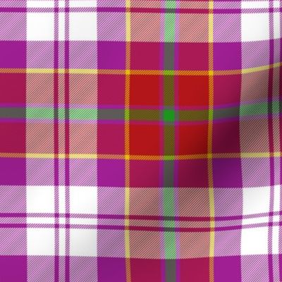 Culloden dress red district tartan, 6"