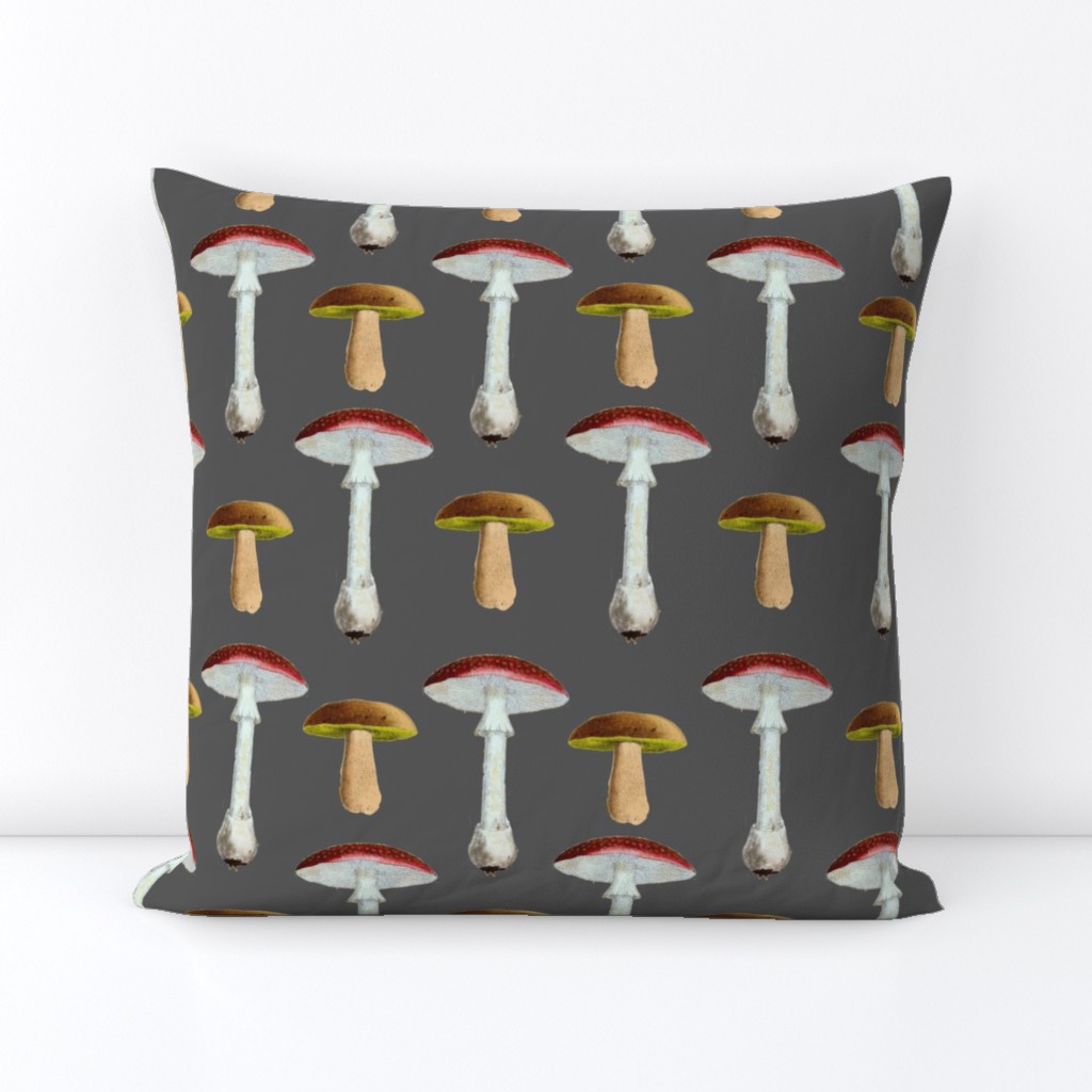 vintage_mushrooms_dark_gray