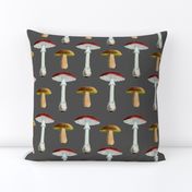 vintage_mushrooms_dark_gray