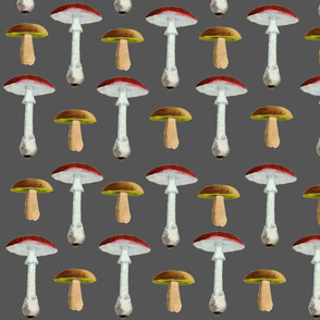 vintage_mushrooms_dark_gray