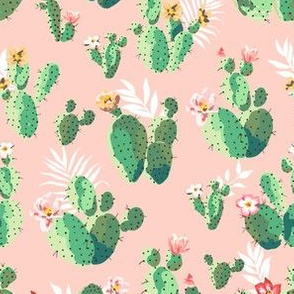 Trendy Pink Cactus