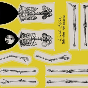 Skeleton Lina