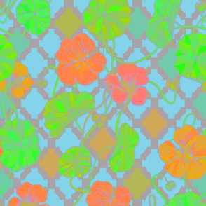 Climbing Nasturtiums in Tangerine and Lime on Grey and Blue