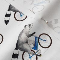 Raccoon on Bicycle
