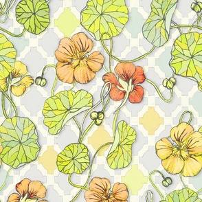 Pale Vintage Yellow Nasturtiums - large