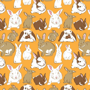 Rabbits