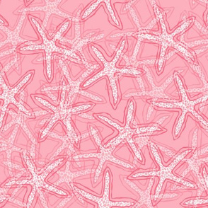 Starfish in Pink Tones