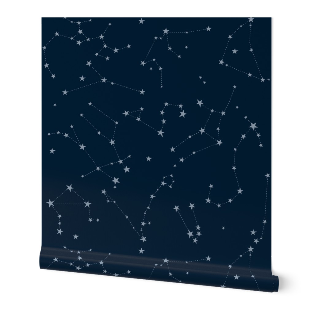 stars in the zodiac constellations - light blue on navy blue