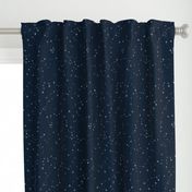 stars in the zodiac constellations - light blue on navy blue