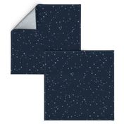 stars in the zodiac constellations - light blue on navy blue