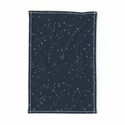 stars in the zodiac constellations - light blue on navy blue