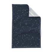 stars in the zodiac constellations - light blue on navy blue