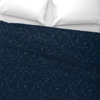 stars in the zodiac constellations - light blue on navy blue