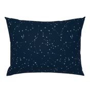 stars in the zodiac constellations - light blue on navy blue