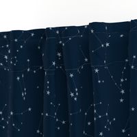 stars in the zodiac constellations - light blue on navy blue