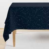 stars in the zodiac constellations - light blue on navy blue