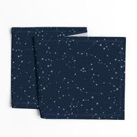 stars in the zodiac constellations - light blue on navy blue