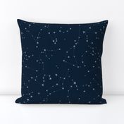 stars in the zodiac constellations - light blue on navy blue