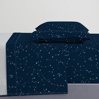 stars in the zodiac constellations - light blue on navy blue