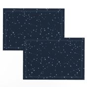 stars in the zodiac constellations - light blue on navy blue