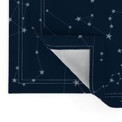 stars in the zodiac constellations - light blue on navy blue