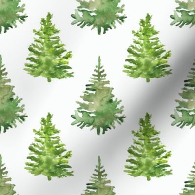 Green emerald fir trees