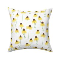 Large Watercolor Black Eyed Susans with White Background