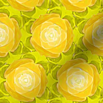 Yellow Cabbage Rose