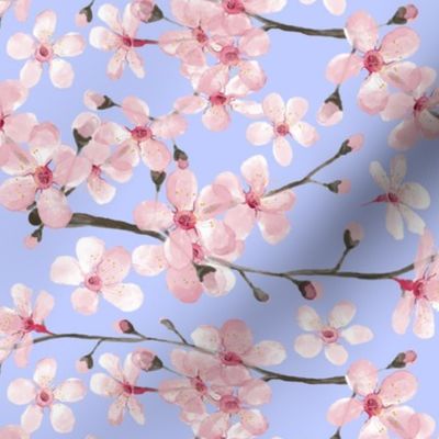 Cherry Blossom, spring pastel blue