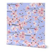 Cherry Blossom, spring pastel blue