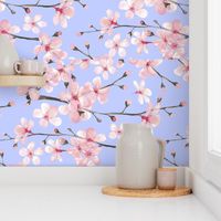 Cherry Blossom, spring pastel blue