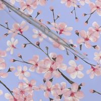 Cherry Blossom, spring pastel blue