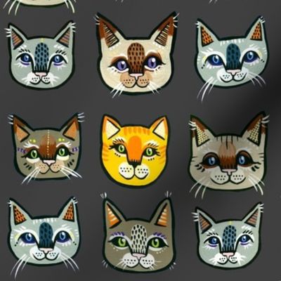 Cat Faces 3