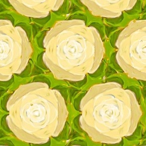 Cream Colored Cabbage Roses