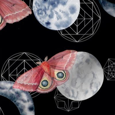 Moon Moth Indigo 