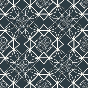 Complex Geometric in Blue and White