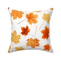 all fall maple leaves - harvest colors, life sized 