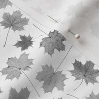 small greyscale maple leaves on white