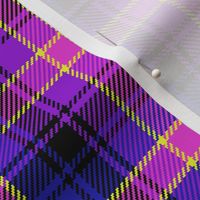 04753865 : tartan : bobpalette