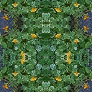 The Gnome's Nasturtium Garden (Ref. 4597 )